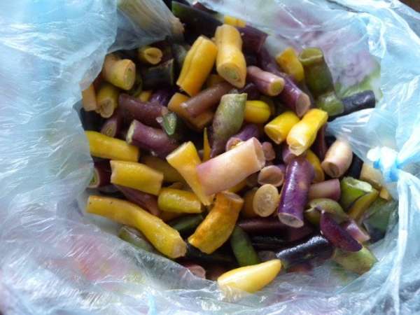 Спаржевую фасоль я морожу в сезон (кусочками), а потом только использую. Фасоль предварительно разморозить. Спаржевую фасоль я морожу в сезон (кусочками), а потом только использую. Фасоль предварительно разморозить.