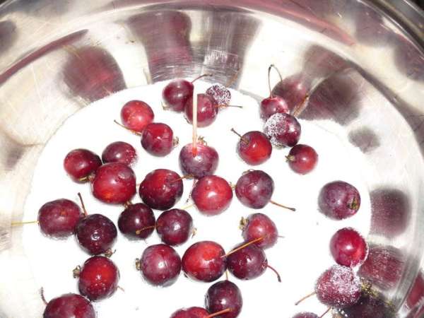 Прокалываю все яблочки. жаль, многие из них переспели настолько, что пришлось выбросить малюток. но по мере пересыпания вполне пригодных экземпляров, получилась довольно приятная картина 'яблоки на снегу'.