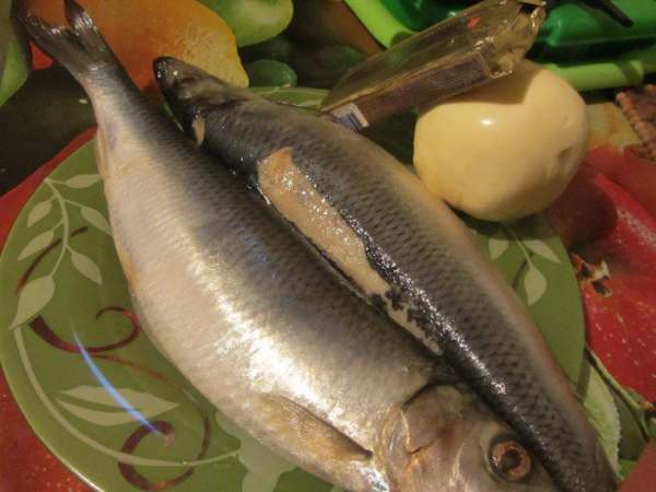 Вот наши вкусные составляющие: селедочка...маслице и сыр Вот наши вкусные составляющие: селедочка...маслице и сыр