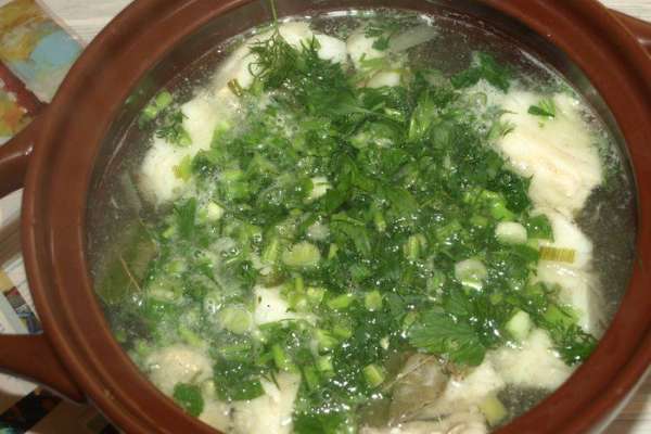 Варить до готовности рыбы. Добавить соль, перец по вкусу. Когда рыба будет готова, добавить зелень и лавровый лист. Варить 1 минуту. Снять с огня, дать настояться минут 10. Варить до готовности рыбы. Добавить соль, перец по вкусу. Когда рыба будет готова, добавить зелень и лавровый лист. Варить 1 минуту. Снять с огня, дать настояться минут 10.