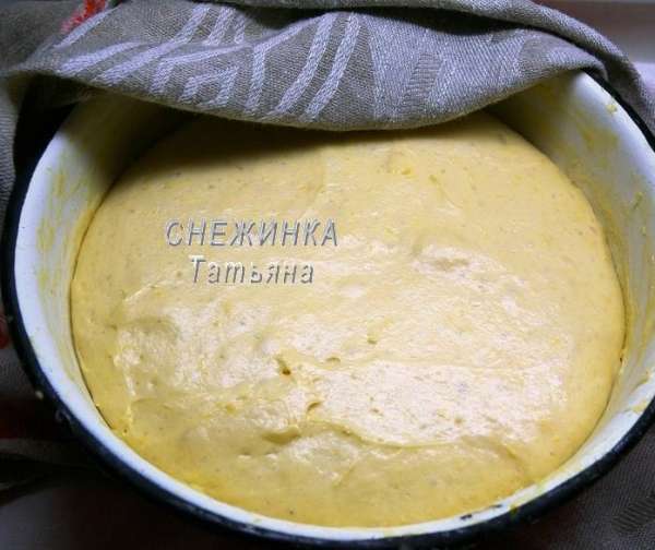 Накрывает тесто полотенчиком и ставим в тёплое место на 1-1,5 часа. Оно должно подняться минимум в 3 раза. Вот так оно выглядело у меня через 1 час.