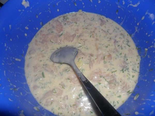 Куриные грудки порезать мелко кубиками. Репчатый лук и чеснок также мелко измельчить. Смешать. Добавить яйца, крахмал, майонез соль, перец и мелко нарезанный укроп. Все хорошо ложкой вымешать и отправить в холодильник на 30 минут, а можно и на час. Куриные грудки порезать мелко кубиками. Репчатый лук и чеснок также мелко измельчить. Смешать. Добавить яйца, крахмал, майонез соль, перец и мелко нарезанный укроп. Все хорошо ложкой вымешать и отправить в холодильник на 30 минут, а можно и на час.