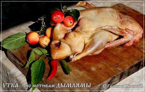 Итак, вот она – утка. Домашняя. Творогом и прочим всяким исключительно натуральным и экологически чистым кормом вскормленная, водой колодезной вспоенная. Спросите – откуда знаю? Дык ить со свого, как говорится, огороду. Поэтому и утверждаю. Итак, вот она – утка. Домашняя. Творогом и прочим всяким исключительно натуральным и экологически чистым кормом вскормленная, водой колодезной вспоенная. Спросите – откуда знаю? Дык ить со свого, как говорится, огороду. Поэтому и утверждаю.