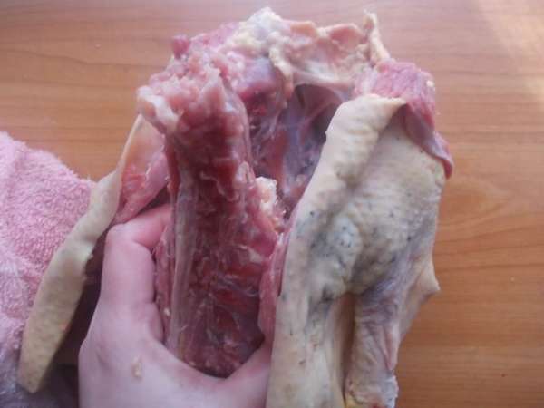 Аккуратно вытягиваем каркас... Аккуратно вытягиваем каркас...