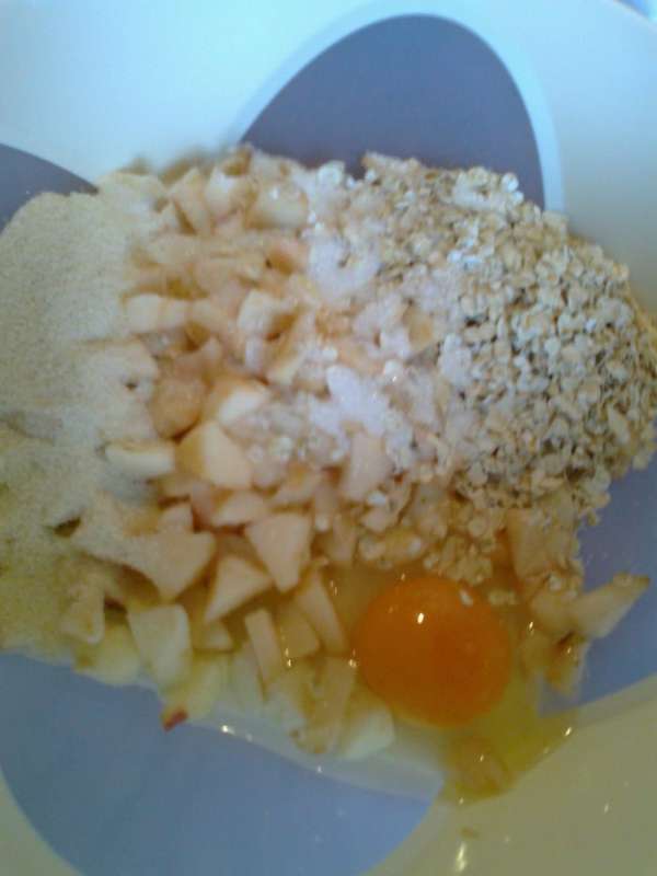 Нарезать мелко яблоки без кожицы+манка+овсянка+щепотка соли+сахар по вкусу+ваниль+яйцо.