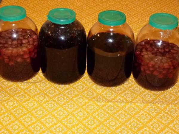 Накрыть крышкой и спрятать в укромное место до сентября- октября... По возможности встряхивать первую неделю, но это не обязательно.