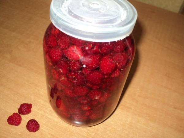 Накрыть капроновой крышкой, поставить в темное, прохладное место. 