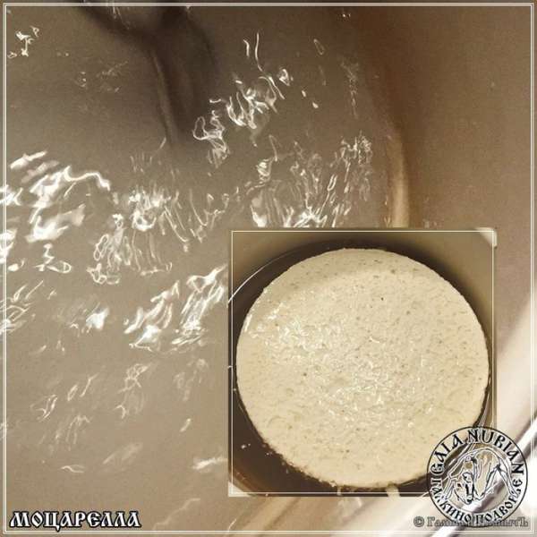 Потом ненадолго сыр опустить в прохладную воду (можно слегка подсоленную), чтобы сыр остыл.