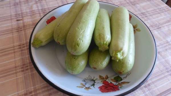 Для засолки и маринования необходимо выбрать молодые и свежие кабачки.