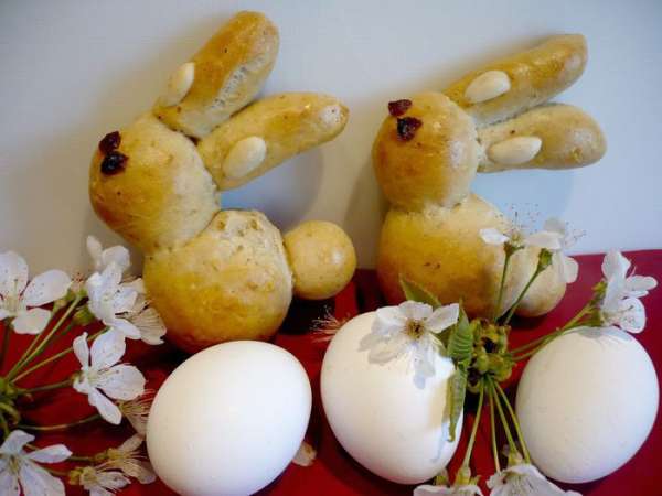 Вот они — наши зайки!!!  