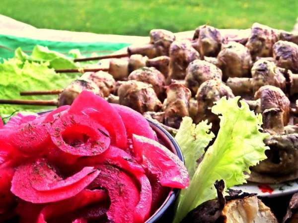 Удачно сочетается лучок с запечёнными грибочками: http://www.edimdoma.ru/retsepty/74990-shashlyk-griby-v-smetane