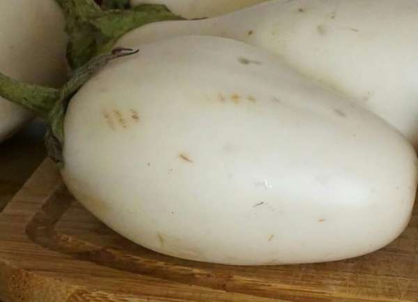 Вот такие у меня белые баклажаны.  По вкусу разницы между привычными для нас «синенькими» я не заметила.
