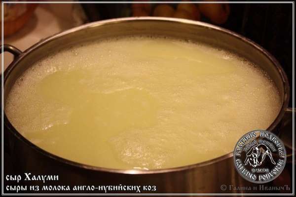 Варить халуми надо часа полтора. При очень слабом, даже не кипении, а побулькивании сыворотки.