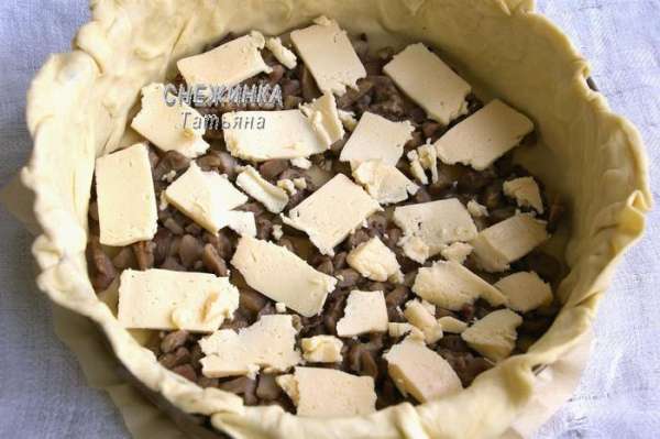 На дно кладём грибы, которые кусочками, на них нарезаем полоски плавленого сыра. На дно кладём грибы, которые кусочками, на них нарезаем полоски плавленого сыра.