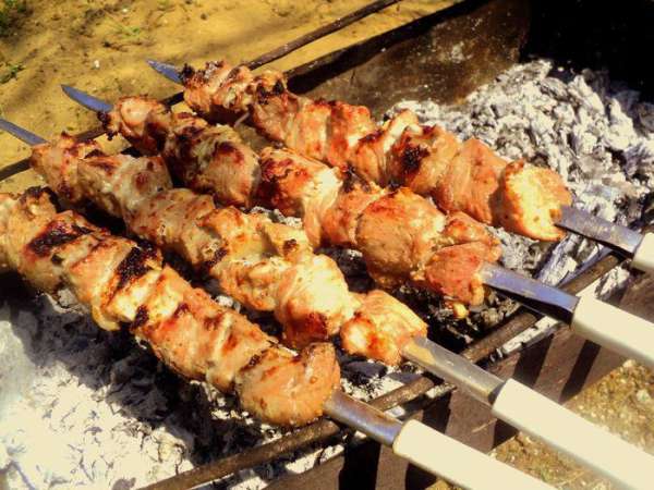 Нанизать мясо на шампура, жарить на мангале. Во время жарки шампура периодически поворачивать и можно побрызгать шашлык сухим вином. Нанизать мясо на шампура, жарить на мангале. Во время жарки шампура периодически поворачивать и можно побрызгать шашлык сухим вином.