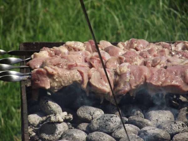 Лимон из маринада отправляем в угли — он придаст приятную нотку мясу. Угли не должны гореть, а умеренно отдавать жар мясу. Поэтому не отходите от шашлыка : в нужный момент воспользуйтесь веером для костра или наоборот, разбейте угли.
