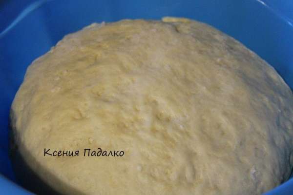 Вот и тесто подошло. Вот и тесто подошло.