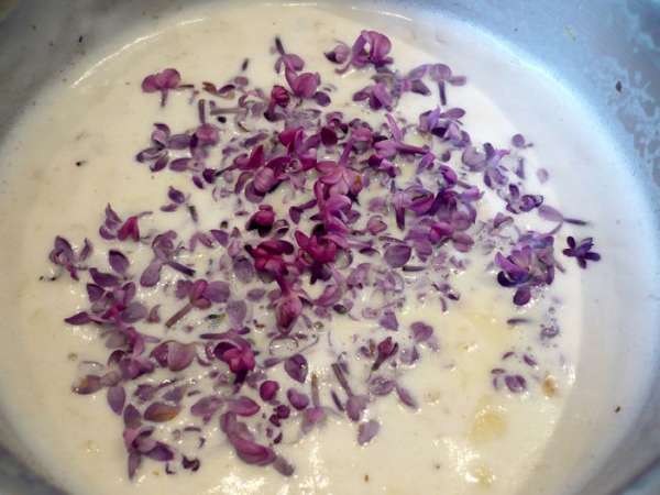 Смешиваем 100 г сахара с молоком и сливками и, добавив лепестки миндаля, доводим до кипения. Вводим цветы сирени в горячую молочно-сливочную смесь, перемешиваем. Охлаждаем и убираем в холодильник на сутки.