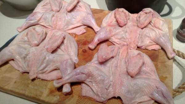 Дальше я переворачиваю каждого из цыплят и хорошенько мну кулаком, так, чтобы он совсем распластался и косточки и хрящики похрустели.