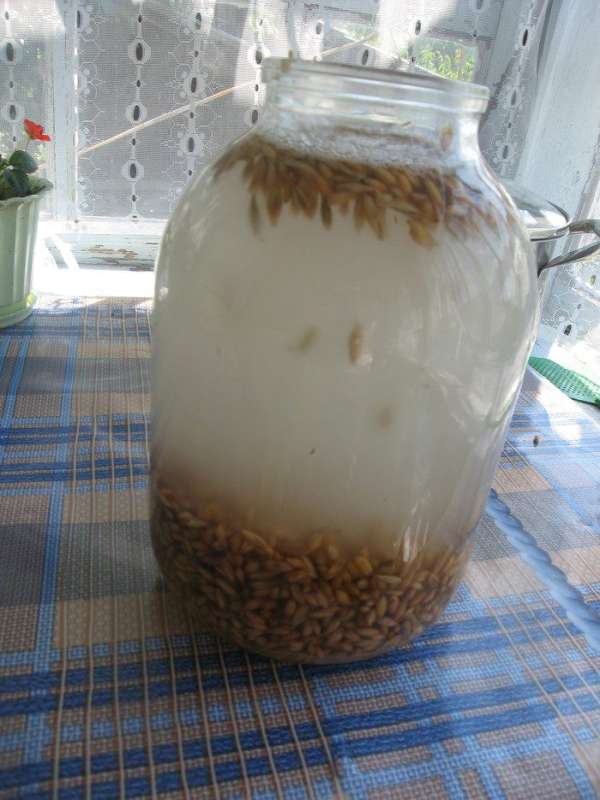 Залить чистой водой (я воду не кипячу). Если вы не уверены в качестве воды, необходимо ее прокипятить и остудить. Размешать. Залить чистой водой (я воду не кипячу). Если вы не уверены в качестве воды, необходимо ее прокипятить и остудить. Размешать.