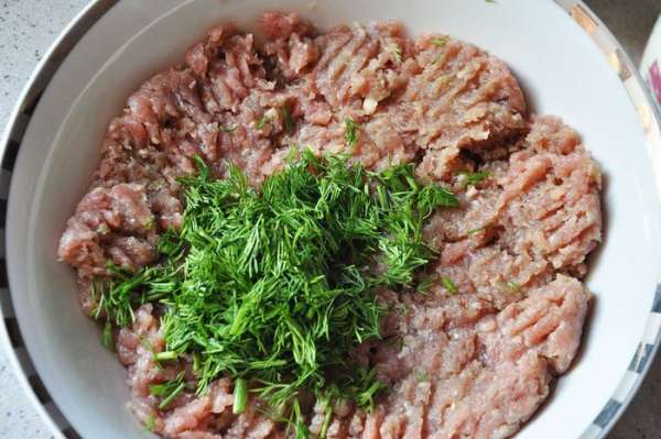 Мясо прокрутить через мясорубку, вместе с луком и картофелем. Посолить,поперчить,перемешать вместе с яйцом. Добавить мелко порезанный укроп.