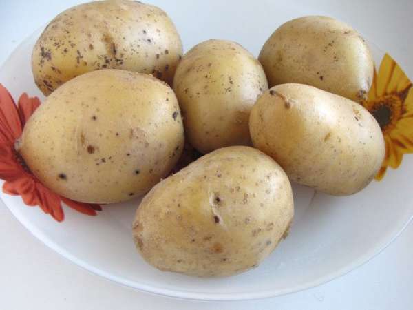 Пока мясо маринуется, отварить картофель в мундире. Остудить, почистить и нарезать кружочками. Пока мясо маринуется, отварить картофель в мундире. Остудить, почистить и нарезать кружочками.