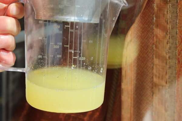 У меня получилось примерно 80-100 мл  сока. 