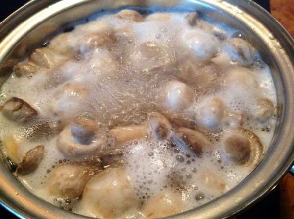 Болгарский перец и морковь нарезать кубиками лук полукольцами...